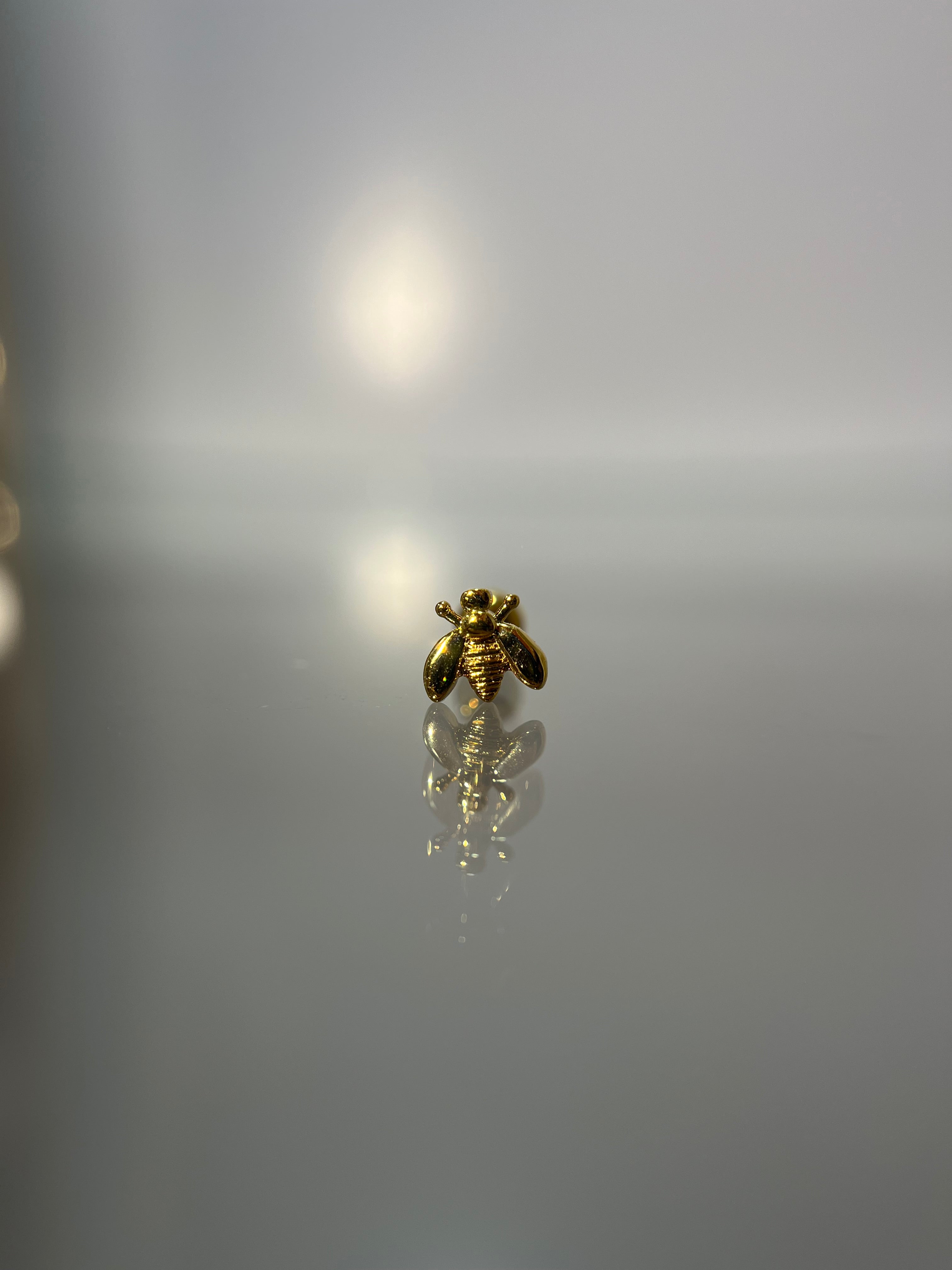 Piercings abejita