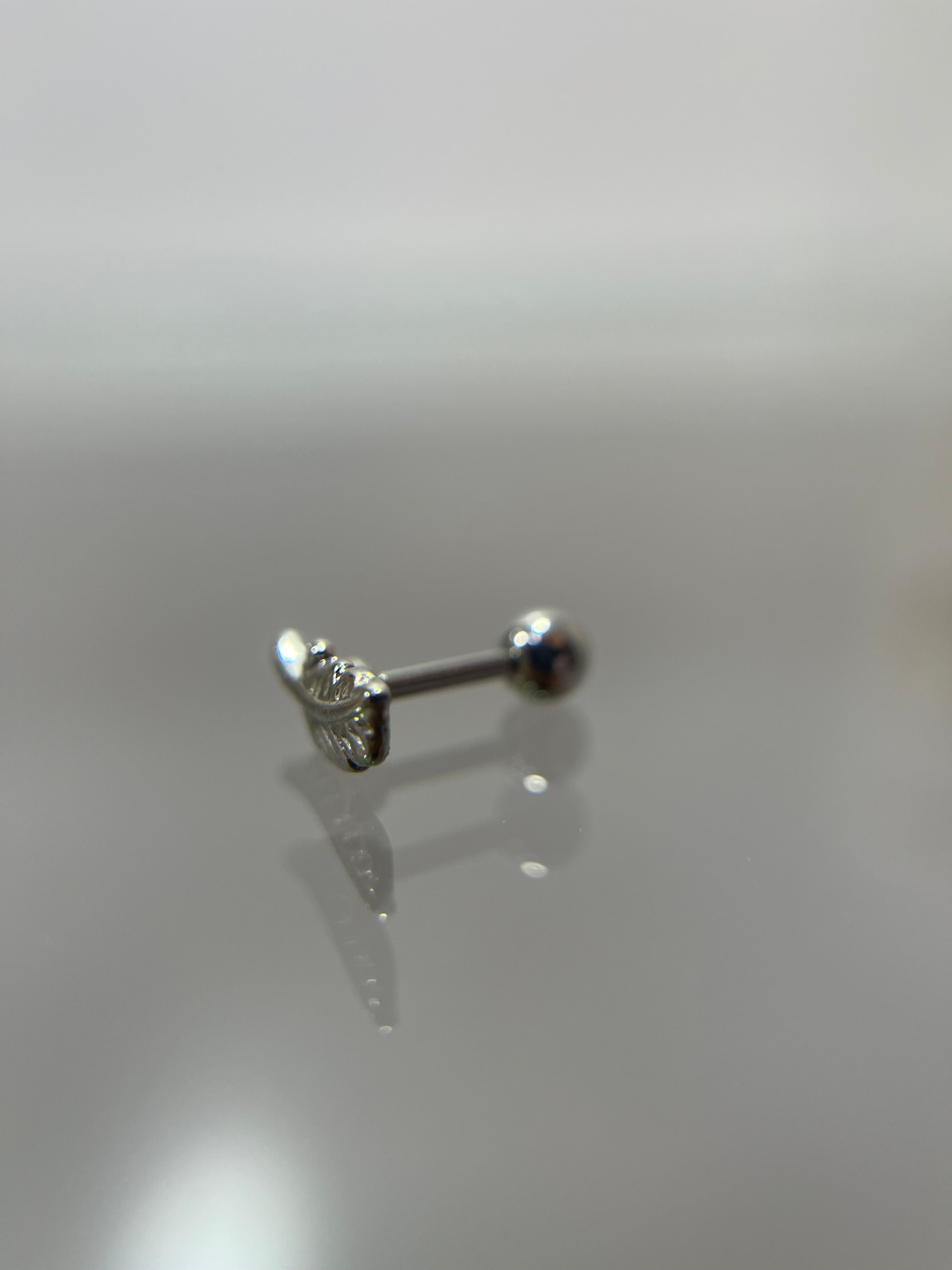 Piercings hoja