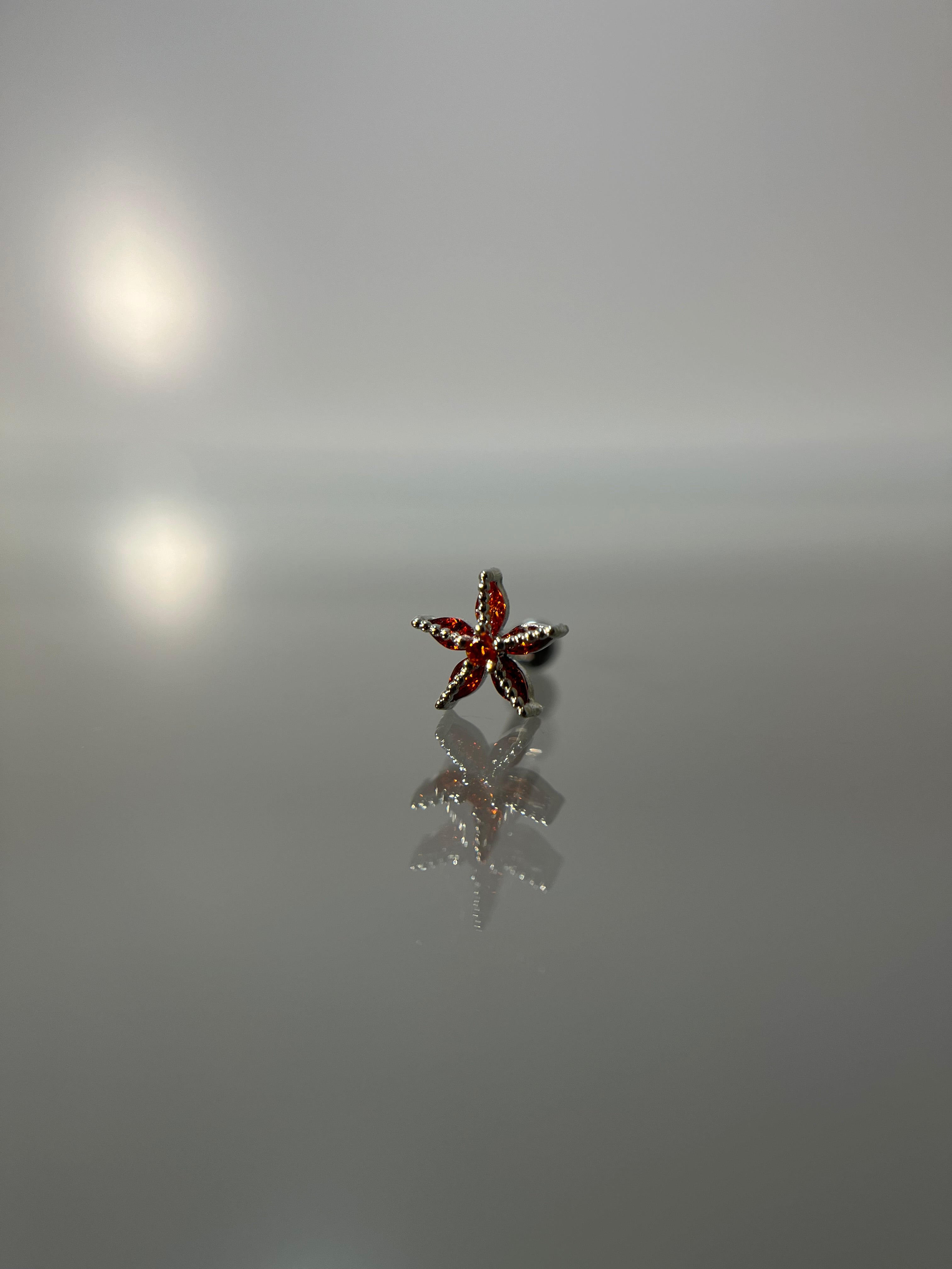 Piercings estrella de mar (cierre esfera)