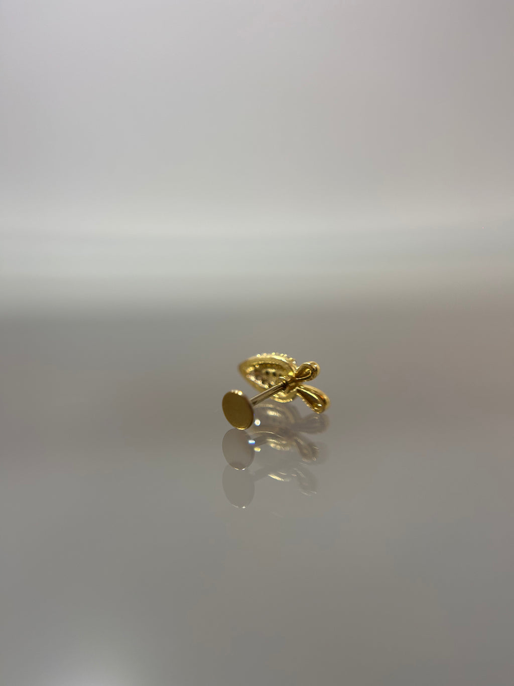 Piercings zanahoria (cierre plano)