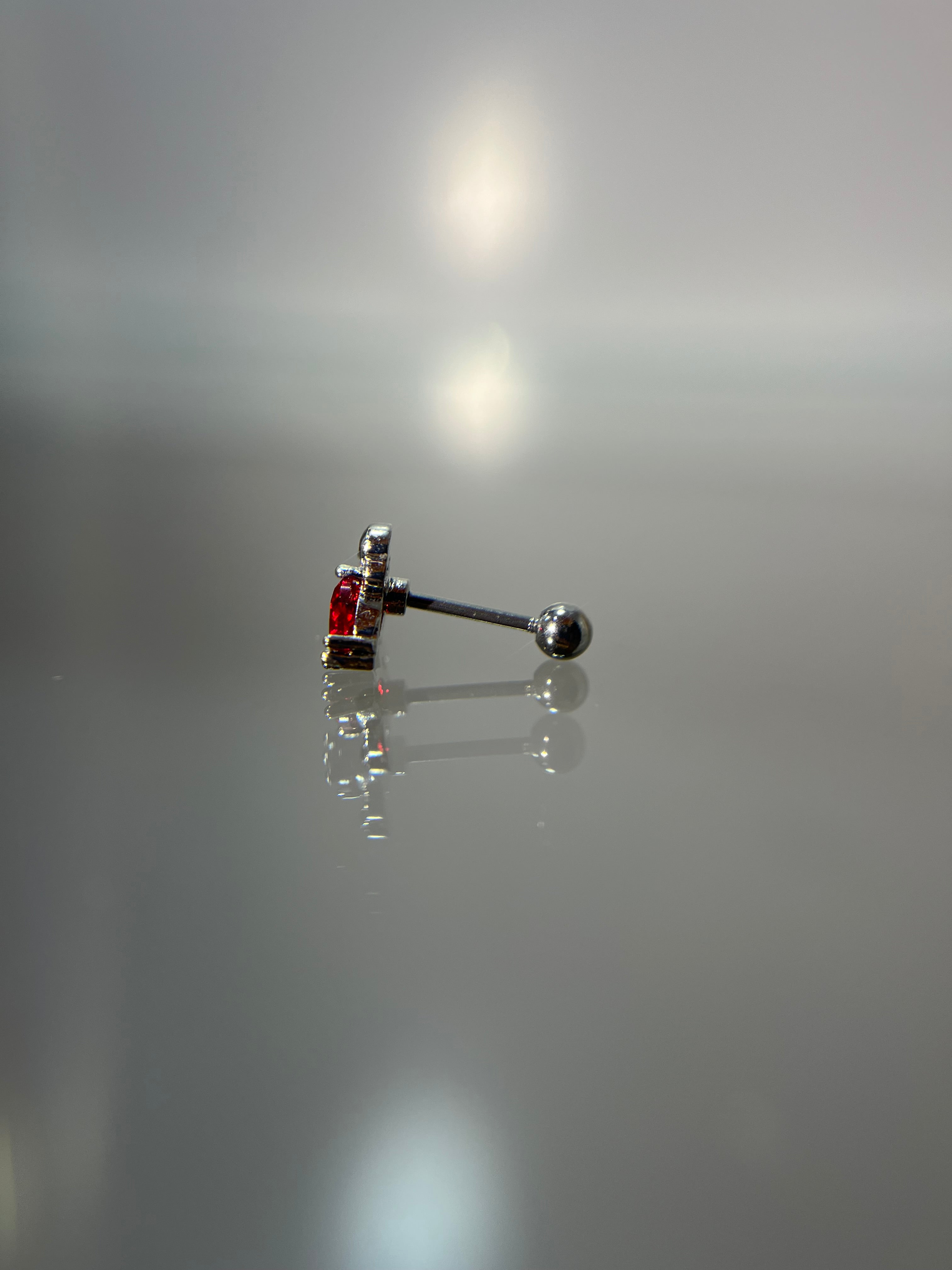 Piercings langosta
