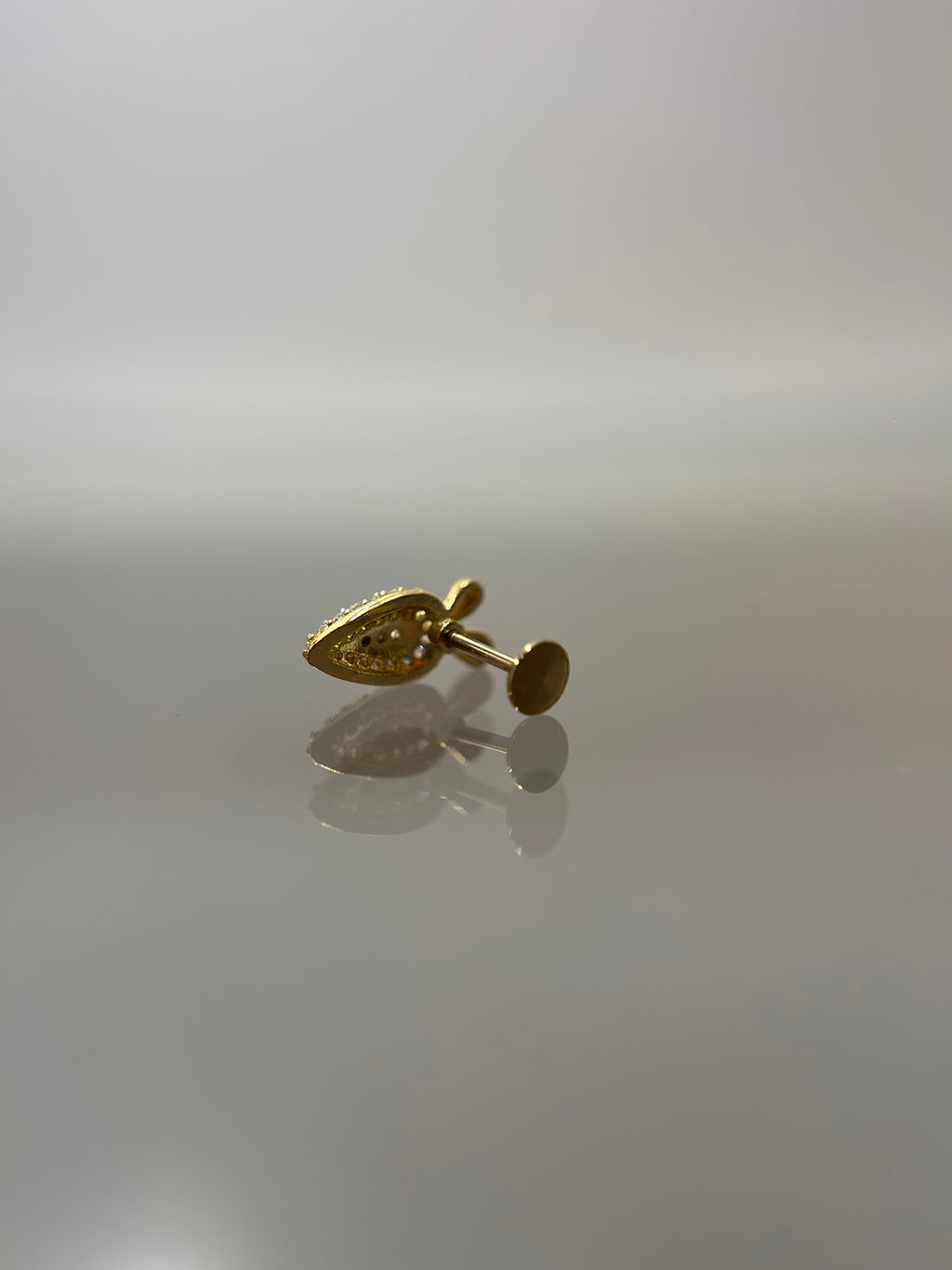Piercings zanahoria (cierre plano)