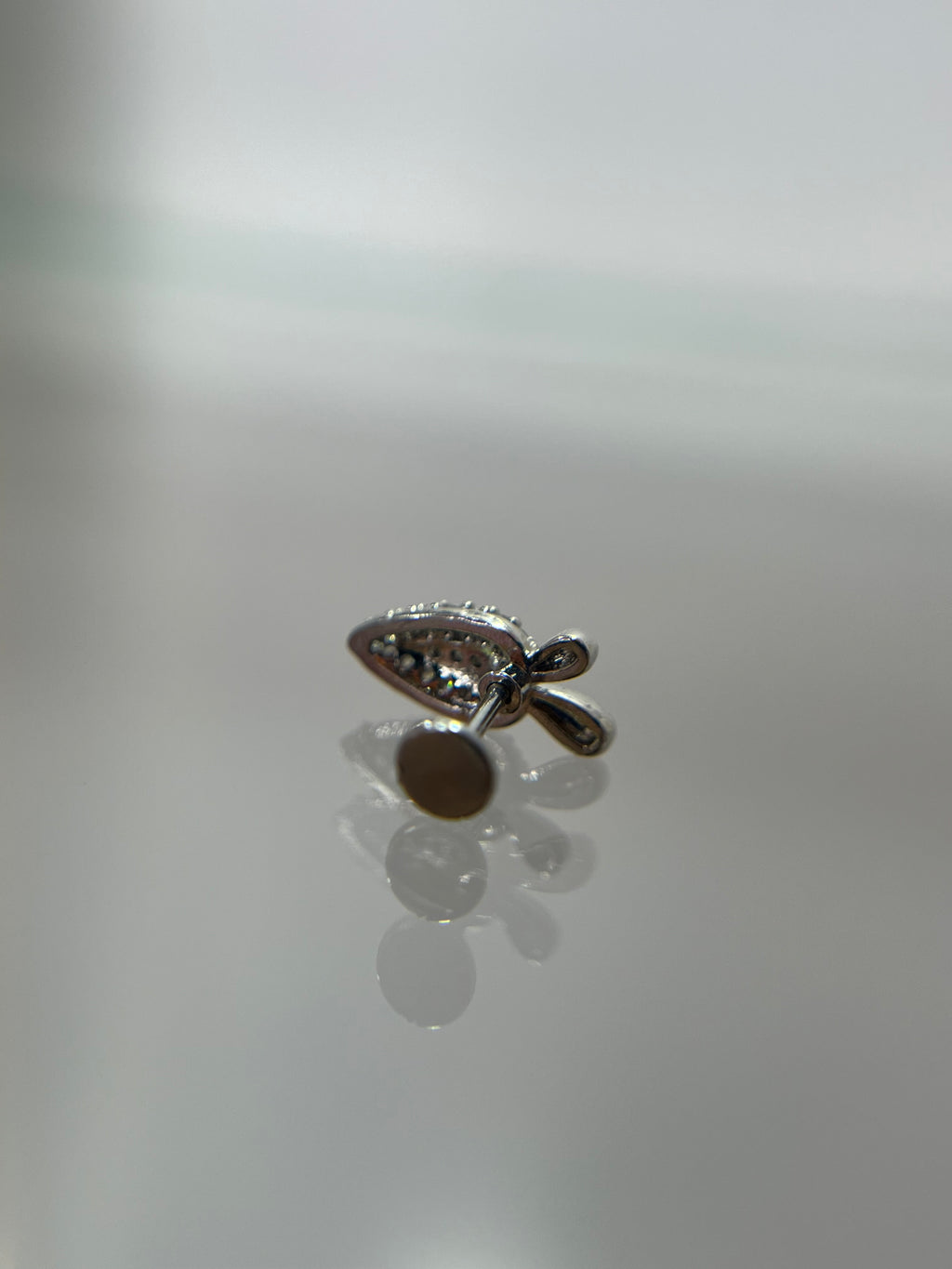 Piercings zanahoria (cierre plano)