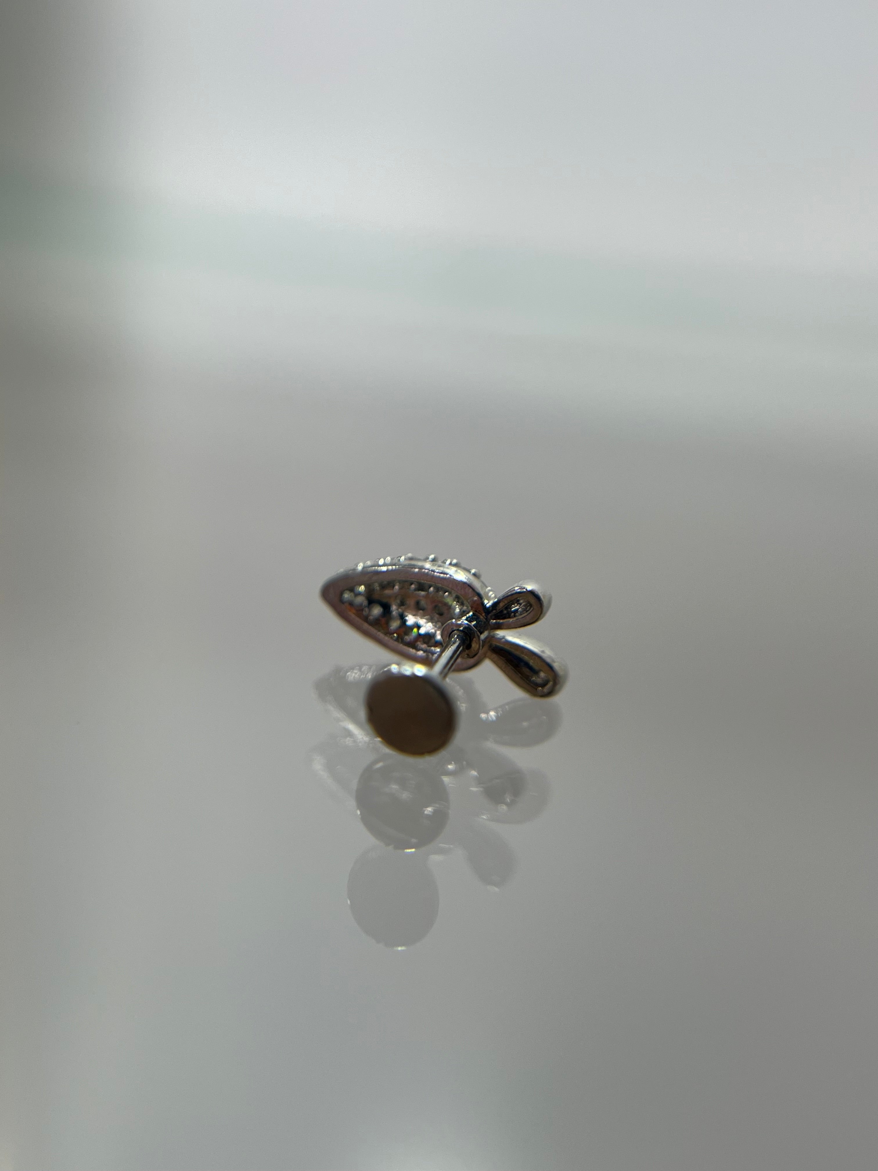 Piercings zanahoria (cierre plano)