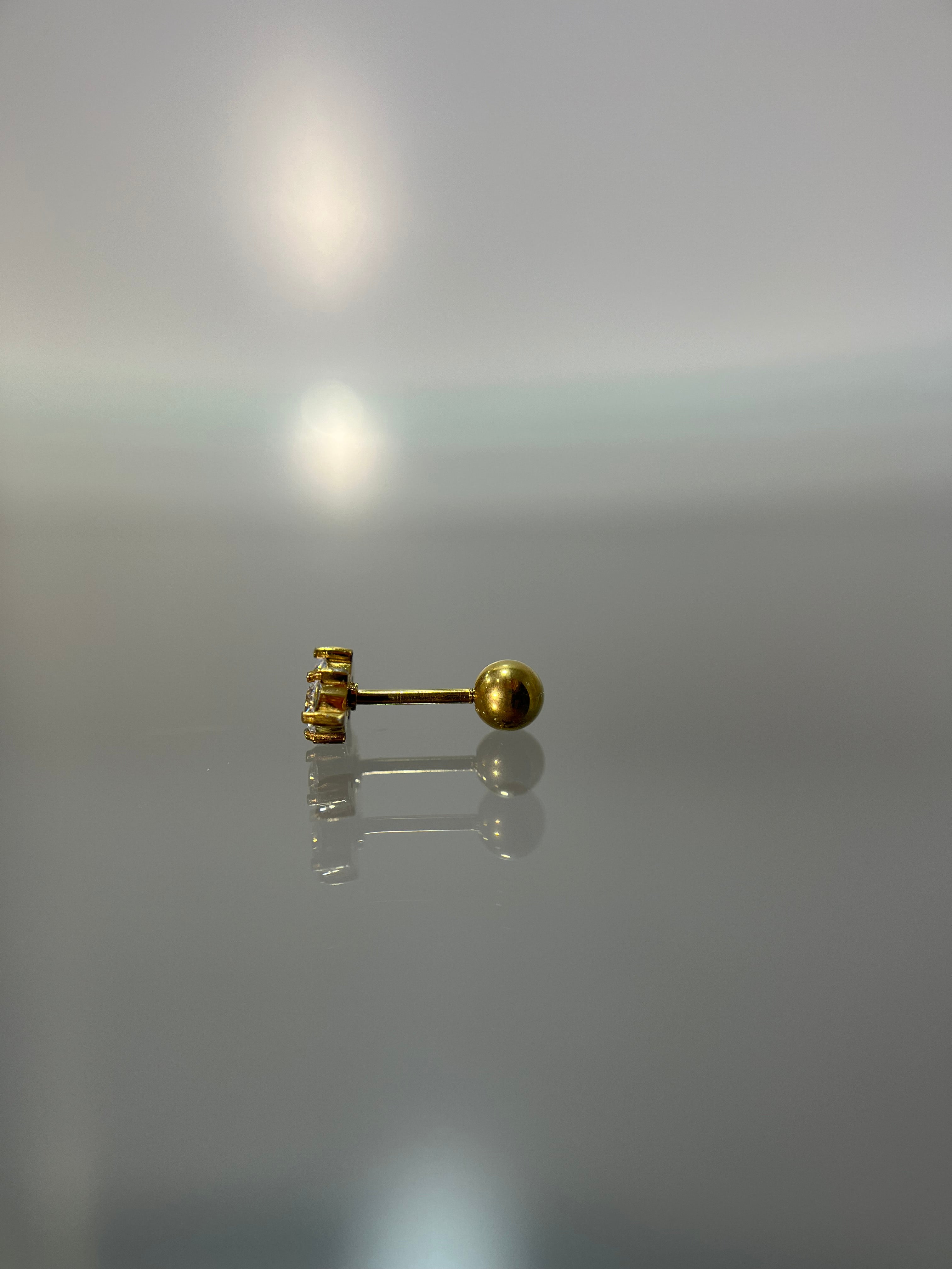 Piercings círculo doble (cierre esfera)
