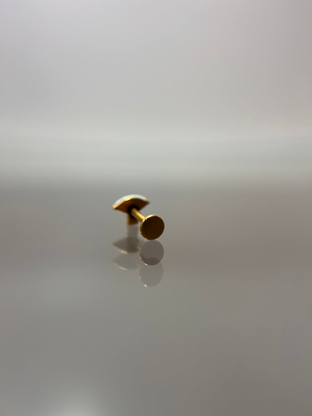 Piercings tornasol (cierre plano)