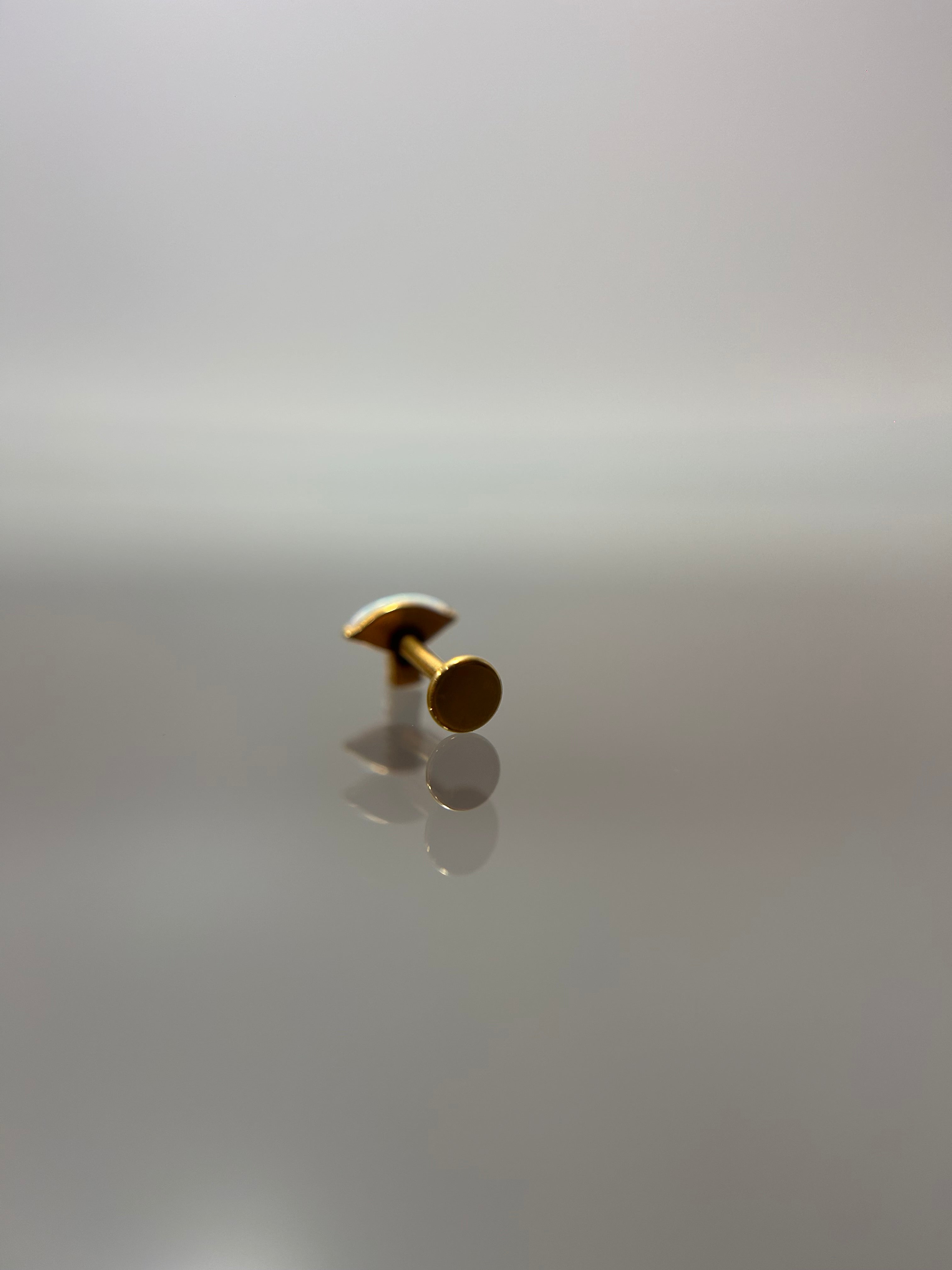 Piercings tornasol (cierre plano)