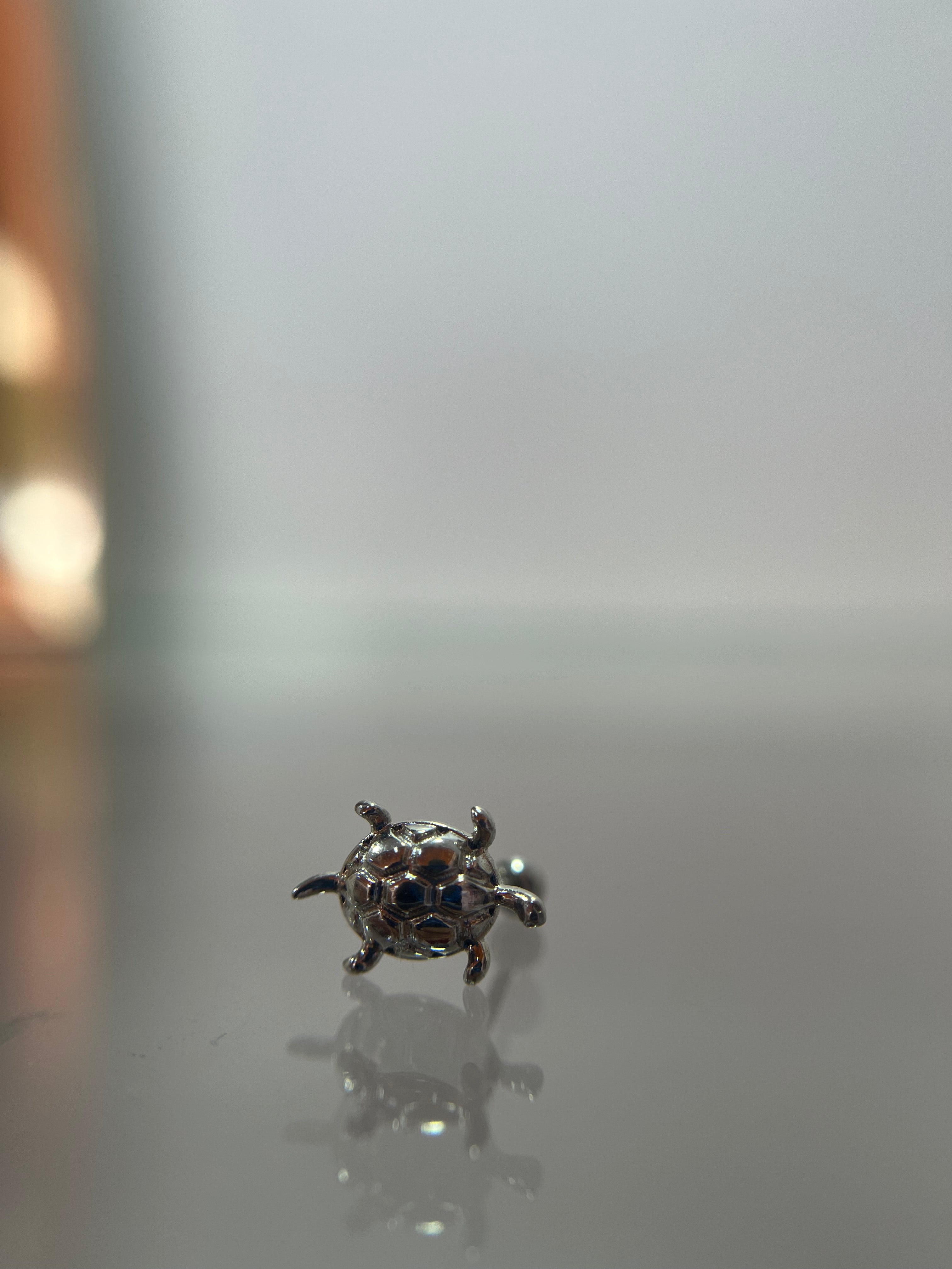 Piercing de tortuga (Cierre de esfera)