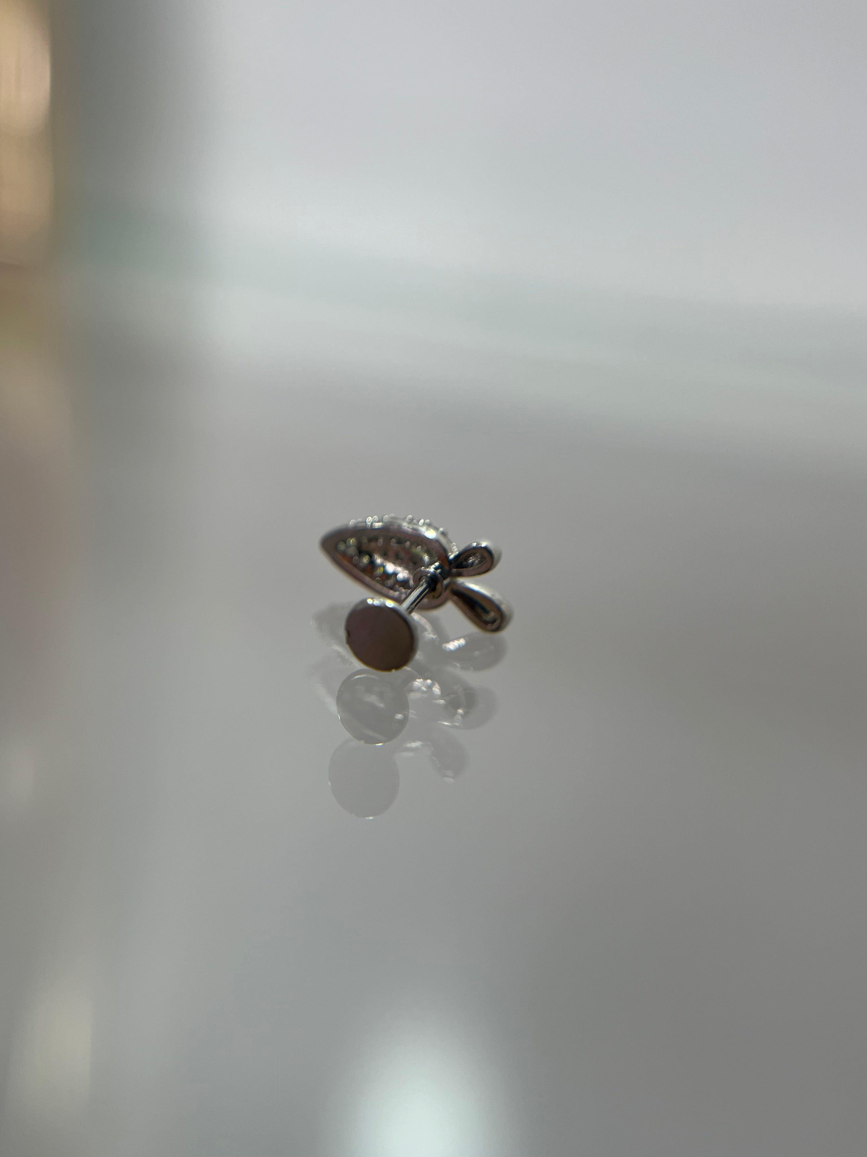 Piercings zanahoria (cierre plano)
