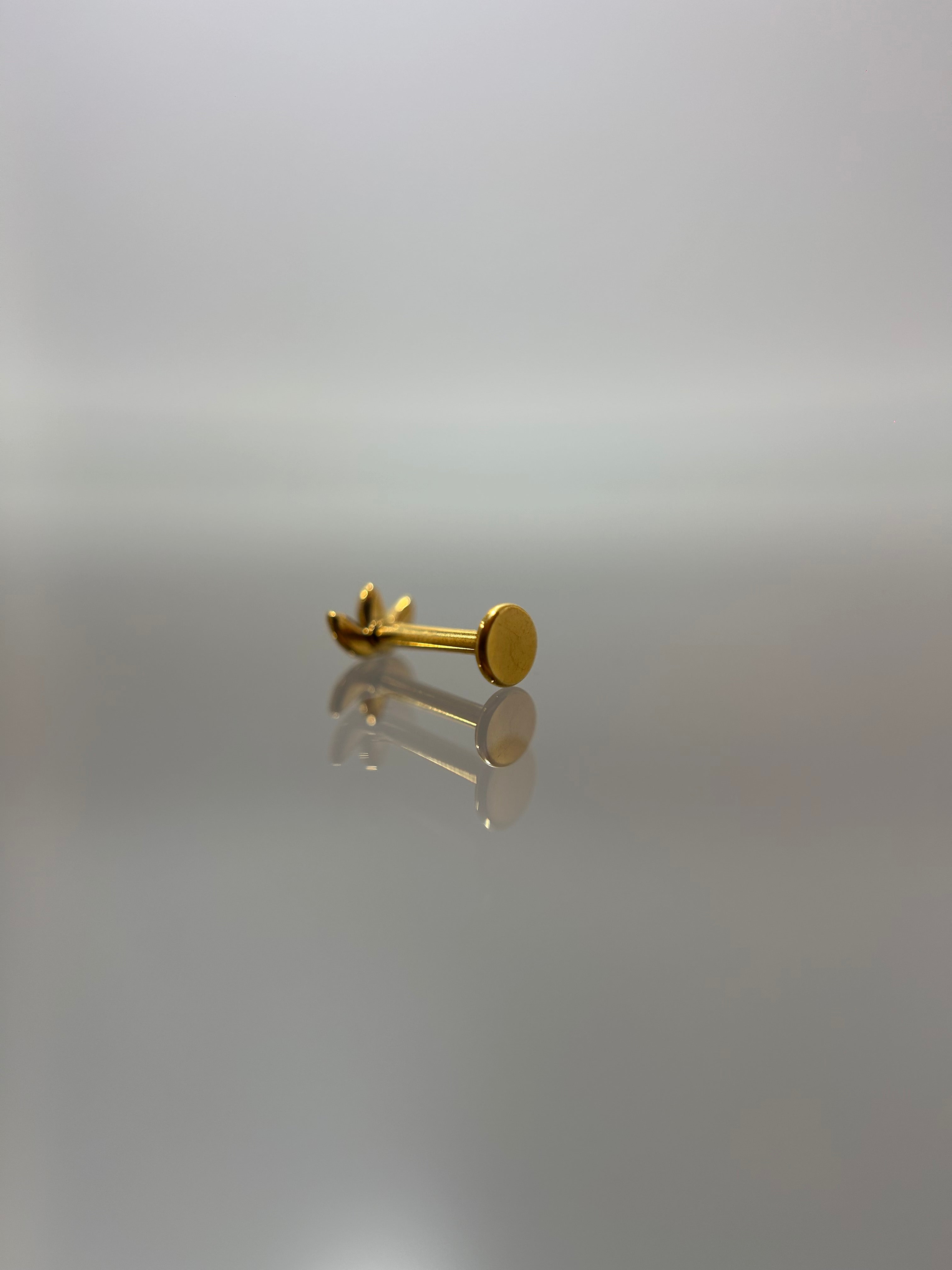 Piercings hojitas (cierre plano)