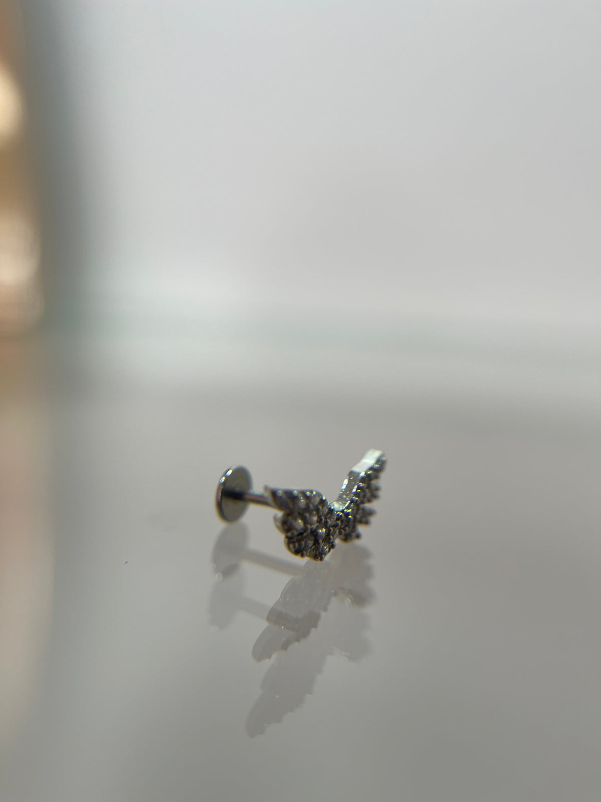 Piercings alas (cierre plano)