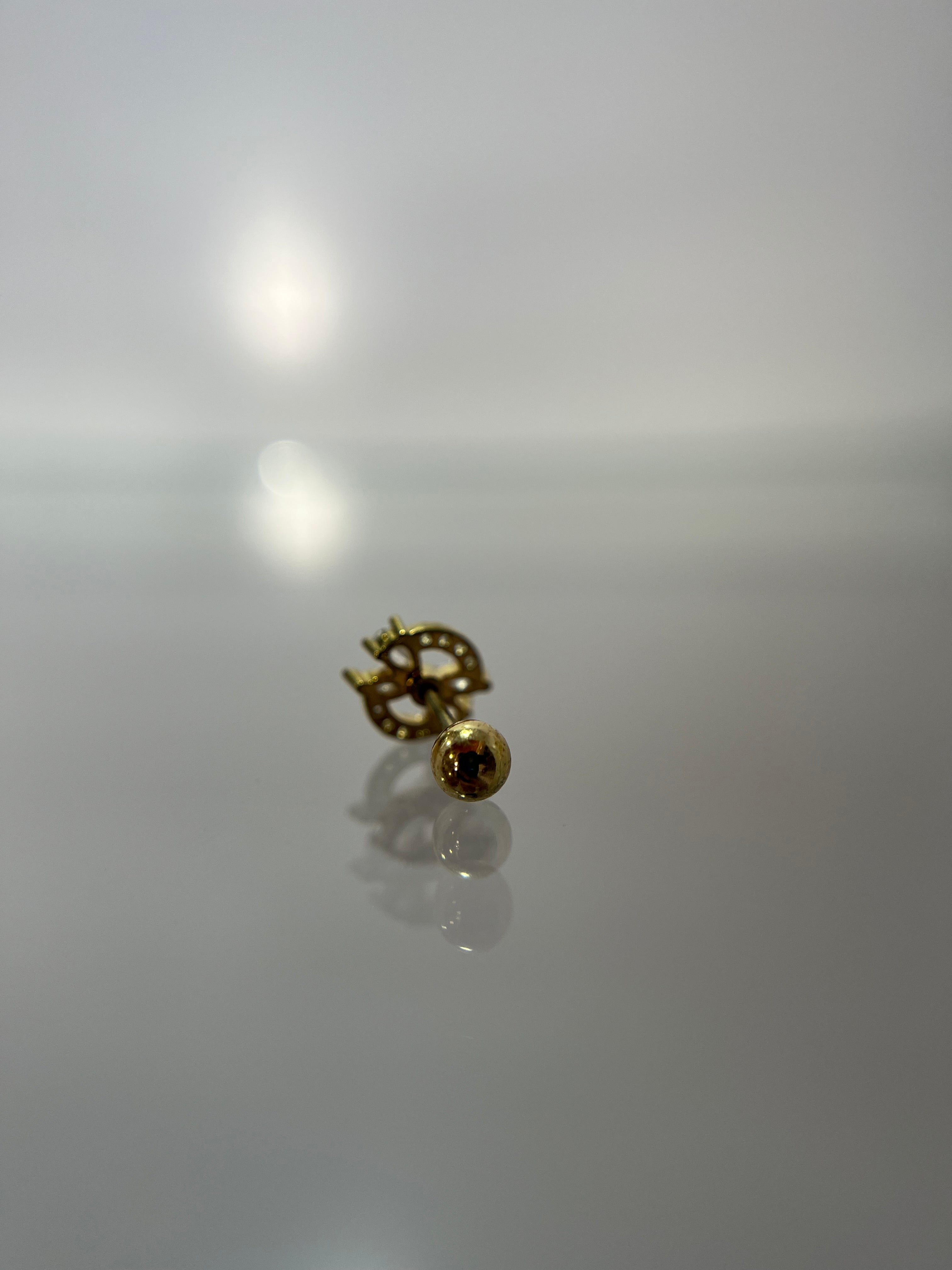 Piercings círculo (cierre esfera)