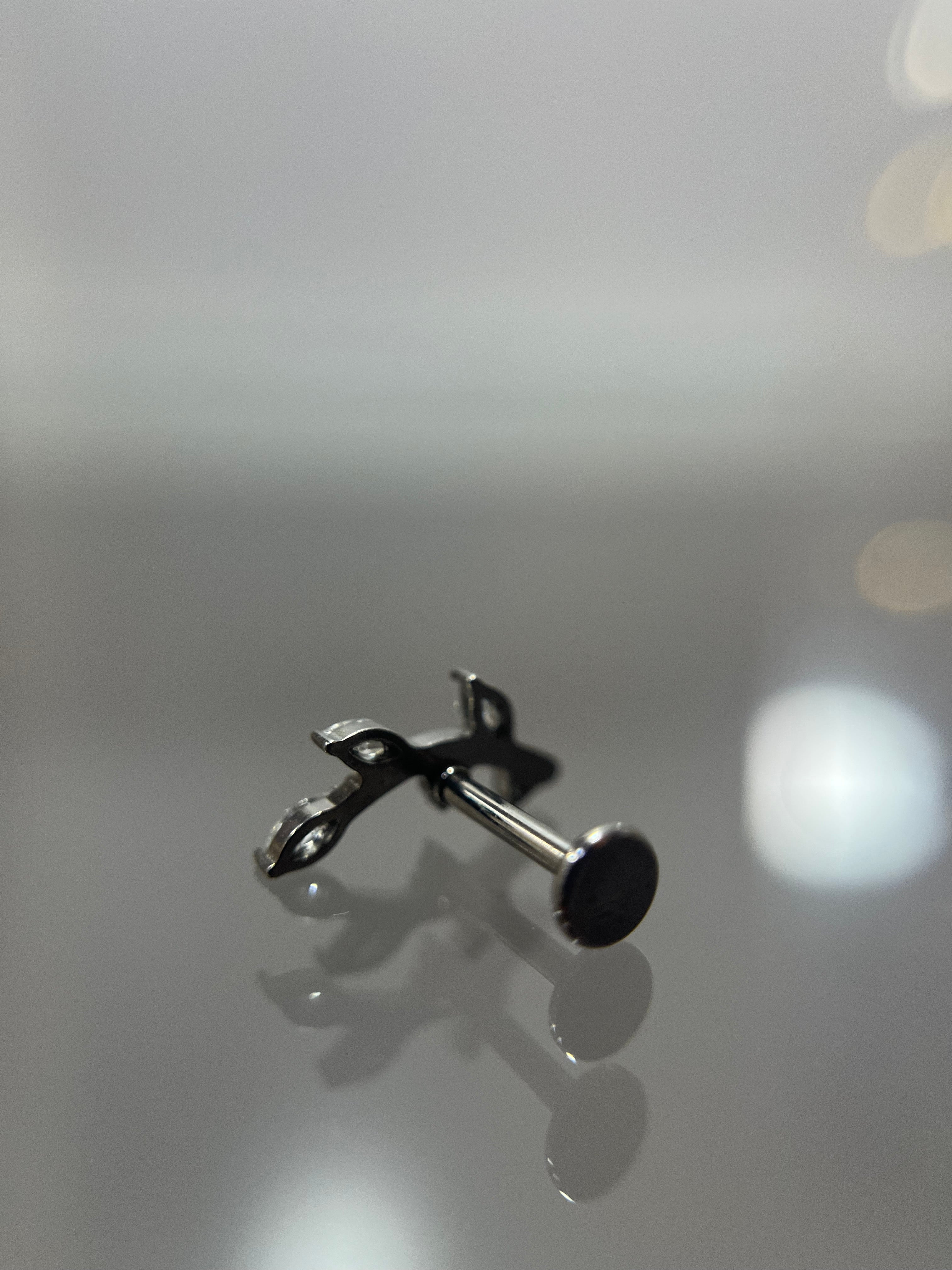 Piercings rama (cierre plano)